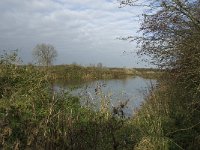 NL, Noord-Brabant, Land van Cuijk, Oeffelter Meent 2, Saxifraga-Jan van der Straaten