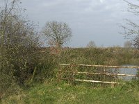 NL, Noord-Brabant, Land van Cuijk, Oeffelter Meent 28, Saxifraga-Jan van der Straaten