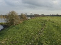 NL, Noord-Brabant, Land van Cuijk, Oeffelter Meent 42, Saxifraga-Jan van der Straaten