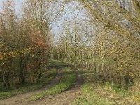 NL, Noord-Brabant, Land van Cuijk, Oeffelter Meent 5, Saxifraga-Jan van der Straaten