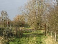 NL, Noord-Brabant, Land van Cuijk, Oeffelter Meent 8, Saxifraga-Jan van der Straaten