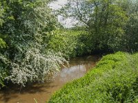 NL, Noord-Brabant, Land van Cuijk, Oeffeltsche Raam 12, Saxifraga-Jan van der Straaten