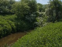 NL, Noord-Brabant, Land van Cuijk, Oeffeltsche Raam 5, Saxifraga-Jan van der Straaten