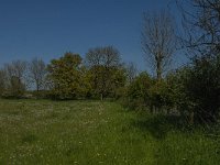 NL, Noord-Brabant, Land van Cuijk, Zoetepasweiden 17, Saxifraga-Jan van der Straaten