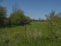 NL, Noord-Brabant, Land van Cuijk, Zoetepasweiden 5, Saxifraga-Jan van der Straaten