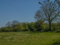 NL, Noord-Brabant, Land van Cuijk, Zoetepasweiden 9, Saxifraga-Jan van der Straaten