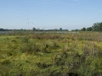 NL, Noord-Brabant, Loon op Zand, Huis ter Heide 8, Saxifraga-Willem van Kruijsbergen