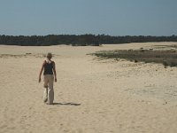 NL, Noord-Brabant, Loon op Zand, Loonse en Drunense Duinen 2, Saxifraga-Marijke Verhagen