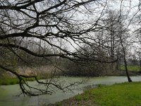 NL, Noord-Brabant, Meierijstad, Bobbenagelse Brug 10, old meander, Saxifraga-Jan van der Straaten