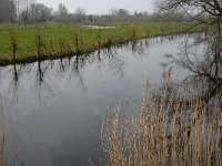 NL, Noord-Brabant, Meierijstad, Bobbenagelse Brug 11, old meander, Saxifraga-Jan van der Straaten