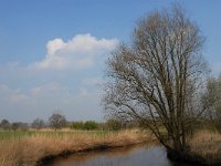 NL, Noord-Brabant, Meierijstad, Bobbenagelse Brug 14, Saxifraga-Jan van der Straaten