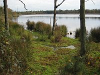 NL, Noord-Brabant, Meierijstad, Hazeputten 2, Saxifraga-Henk Sierdsema