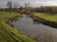 NL, Noord-Brabant, Meierijstad, Nijnsel, Dommel 10, Saxifraga-Jan van der Straaten