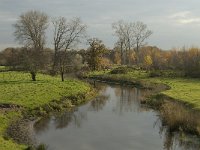 NL, Noord-Brabant, Meierijstad, Nijnsel, Dommel 2, Saxifraga-Jan van der Straaten