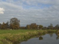 NL, Noord-Brabant, Meierijstad, Nijnsel, Dommel 7, Saxifraga-Jan van der Straaten