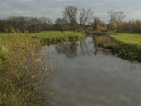 NL, Noord-Brabant, Meierijstad, Nijnsel, Dommel 9, Saxifraga-Jan van der Straaten