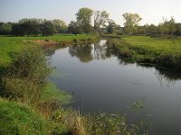 NL, Noord-Brabant, Meierijstad, Nijnsel, Dommelbeemden 11, Saxifraga-Henk Sierdsema