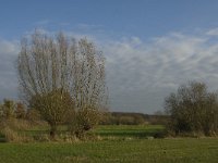 NL, Noord-Brabant, Meierijstad, Nijnsel, Dommelbeemden 17, Saxifraga-Jan van der Straaten