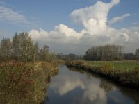 NL, Noord-Brabant, Meierijstad, Olland, Dommel 2, Saxifraga-Jan van der Straaten