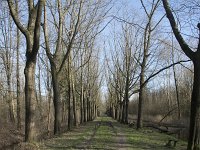 NL, Noord-Brabant, Meierijstad, Wijboschbroek 14, Saxifraga-Willem van Kruijsbergen