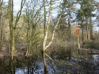 NL, Noord-Brabant, Meierijstad, Wijboschbroek 27, Saxifraga-Willem van Kruijsbergen