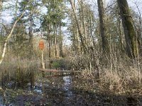 NL, Noord-Brabant, Meierijstad, Wijboschbroek 28, Saxifraga-Willem van Kruijsbergen