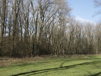 NL, Noord-Brabant, Meierijstad, Wijboschbroek 8, Saxifraga-Willem van Kruijsbergen