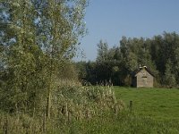 NL, Noord-Brabant, Moerdijk, Bovensluis 2, Saxifraga-Jan van der Straaten