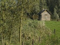 NL, Noord-Brabant, Moerdijk, Bovensluis 3, Saxifraga-Jan van der Straaten