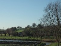 NL, Noord-Brabant, Moerdijk, Fort Sabina 6, Saxifraga-Jan van der Straaten