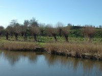 NL, Noord-Brabant, Moerdijk, Fort Sabina 7, Saxifraga-Jan van der Straaten