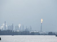 NL, Noord-Brabant, Moerdijk, Industriegebied 3, Saxifraga-Willem van Kruijsbergen