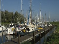 NL, Noord-Brabant, Moerdijk, Noordschans 1, Saxifraga-Jan van der Straaten