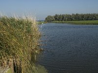 NL, Noord-Brabant, Moerdijk, Tonnekreek 3, Saxifraga-Jan van der Straaten