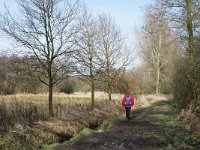 NL, Noord-Brabant, Nuenen-Gerwen-Nederwetten, Nuenens Broek 1, Saxifraga-Tom Heijnen