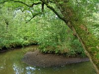 NL, Noord-Brabant, Oirschot, Beerze 1, Foto Fitis-Sytske Dijksen