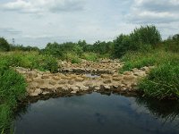 NL, Noord-Brabant, Oirschot, Beerze 2, Foto Fitis-Sytske Dijksen