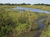 NL, Noord-Brabant, Oirschot, Dal van de Beerze 16, Saxifraga-Jan van der Straaten