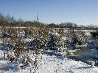 NL, Noord-Brabant, Oirschot, Dal van de Beerze 23, Saxifraga-Marijke Verhagen