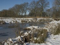 NL, Noord-Brabant, Oirschot, Dal van de Beerze 26, Saxifraga-Marijke Verhagen