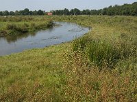 NL, Noord-Brabant, Oirschot, Dal van de Beerze 7, Saxifraga-Jan van der Straaten