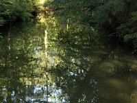 NL, Noord-Brabant, Oirschot, De Baest, Beerze 4, Saxifraga-Jan van der Straaten