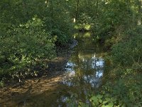 NL, Noord-Brabant, Oirschot, De Baest, Beerze 5, Saxifraga-Jan van der Straaten