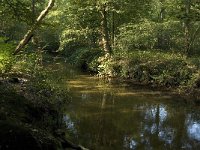 NL, Noord-Brabant, Oirschot, De Baest, Beerze 7, Saxifraga-Jan van der Straaten