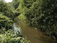 NL, Noord-Brabant, Oirschot, De Baest, Grote Beerze 1, Saxifraga-Jan van der Straaten