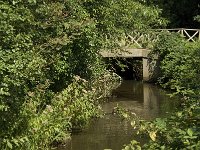 NL, Noord-Brabant, Oirschot, De Baest, Grote Beerze 2, Saxifraga-Jan van der Straaten