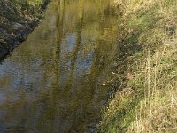 NL, Noord-Brabant, Oirschot, De Mortelen 30, Saxifraga-Jan van der Straaten