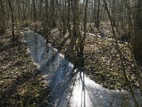 NL, Noord-Brabant, Oirschot, Heerenbeek 19, Saxifraga-Jan van der Straaten