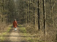 NL, Noord-Brabant, Oirschot, Heerenbeek 30, Saxifraga-Jan van der Straaten