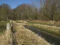 NL, Noord-Brabant, Oirschot, Heerenbeek 8, Saxifraga-Jan van der Straaten